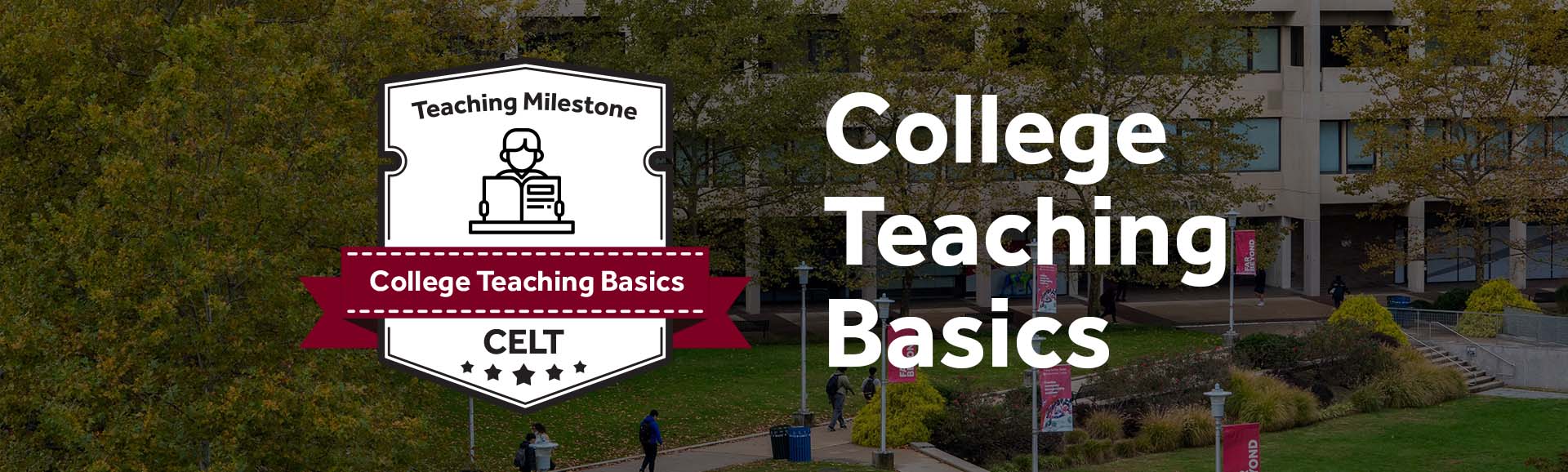 College Teaching Basics Center for Excellence in Learning and Teaching